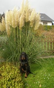 Fotoshooting