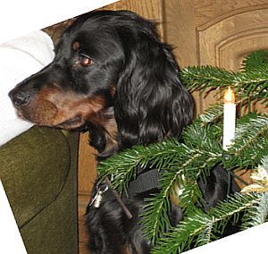 Weihnachten