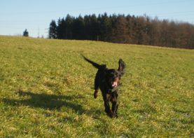 Spaziergang