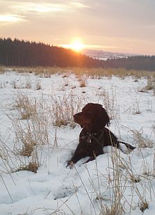 Portrait im Schnee