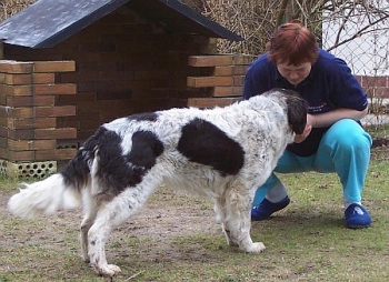 Bella und Margot