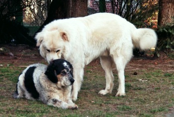 Isa und Mariano