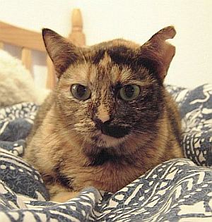 Molly