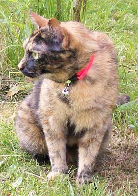 Molly