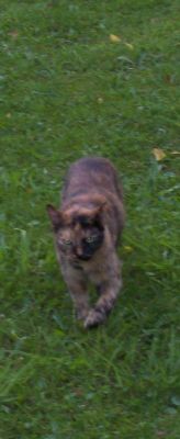 Molly