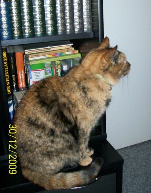 Molly