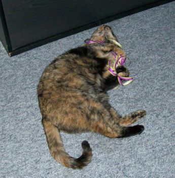 Molly