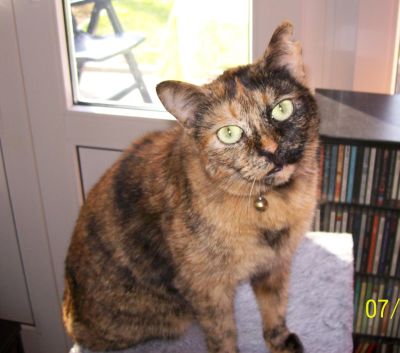 Molly