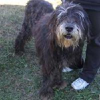 Nerone