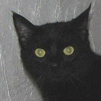 Nerone