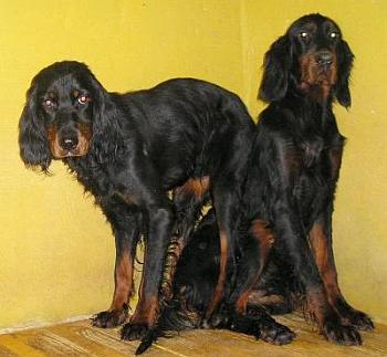 Rebecca und Lucrezia