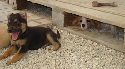 Riana und Ricky