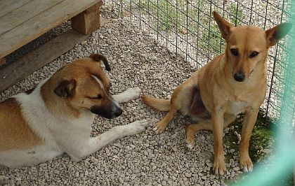 Samantha mit Bruder Sam