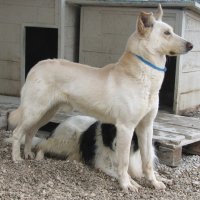 Skye