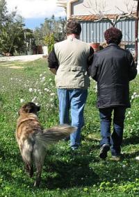 Spaziergang