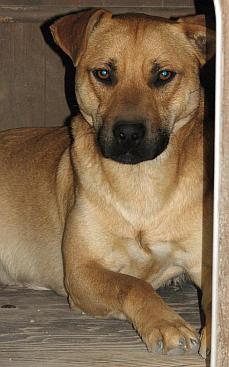 Axel