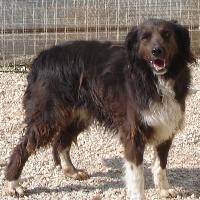 Bamba