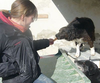 Bamba