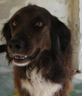 Bamba Portrait