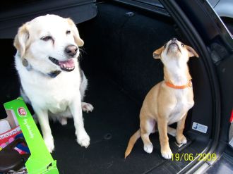 Brandy und Benni