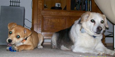 Brandy und Benni