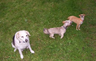 Brandy, Chili und Benni