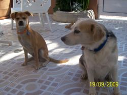 Brandy und Benni
