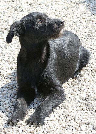 Egidio