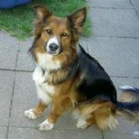 Esther