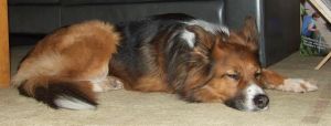 Esther