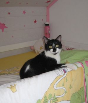 Felix