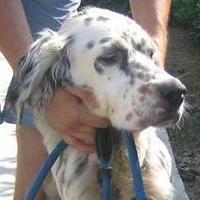 Giulio