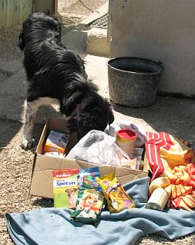 Paket verstreut