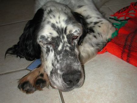 Jack