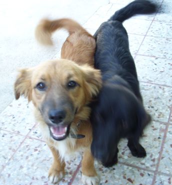 Kai und Karl