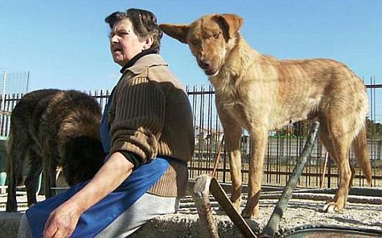 Kanela kann auch witzig