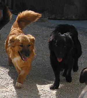 Kai und Karl