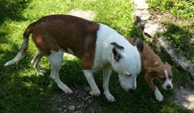 Leon und Aiko