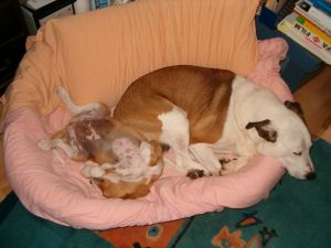 Leon und Aiko