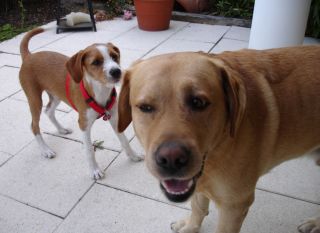 Leonie und Artur