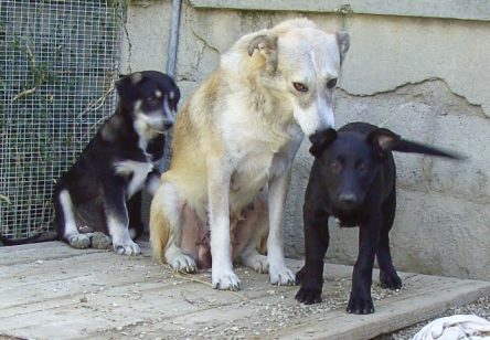 Gruppenbilder