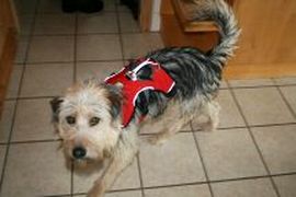 Micky