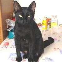 Nera