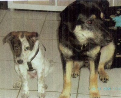 Nila