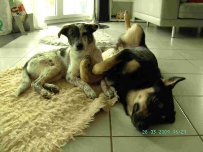 Nila
