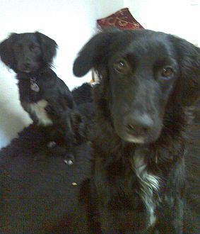 Paulina und Coco