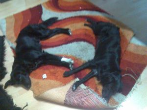 Paulina und Coco