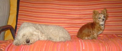 Rosalie und Camilla