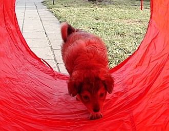 Selma