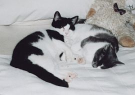 Sissy und Silvio